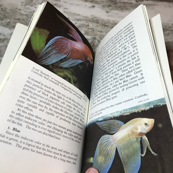 Know your bettas book - Picture 4 of 4